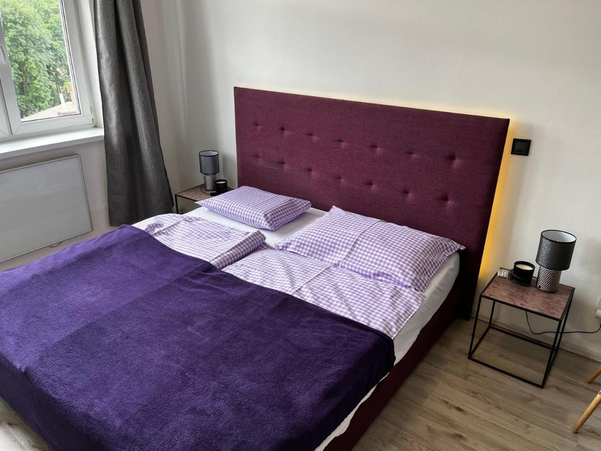 Large 3 Bedroom Apartment With City Skyline View Karlsbad Buitenkant foto