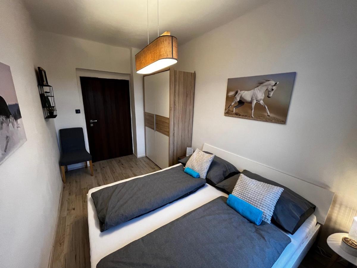 Large 3 Bedroom Apartment With City Skyline View Karlsbad Buitenkant foto